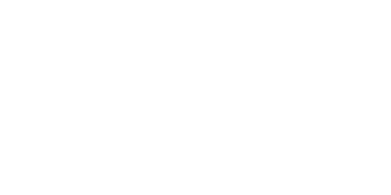 FÉLIN